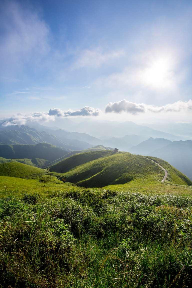 小僵尸射飞鸟